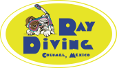 Ray Diving